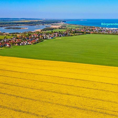Villa Deichgraf 12 "Meerblick" Börgerende-Rethwisch Dış mekan fotoğraf