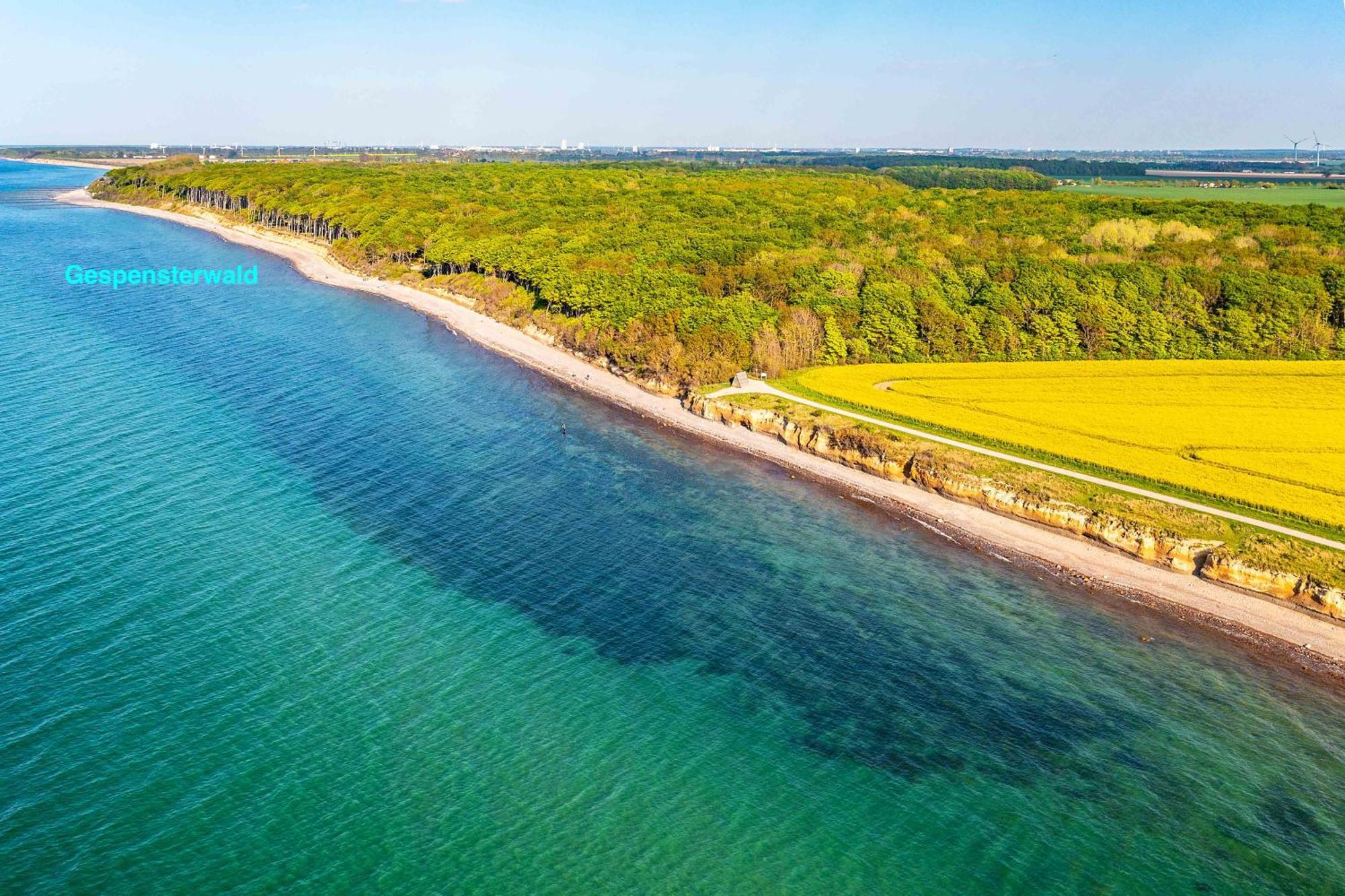 Villa Deichgraf 12 "Meerblick" Börgerende-Rethwisch Dış mekan fotoğraf