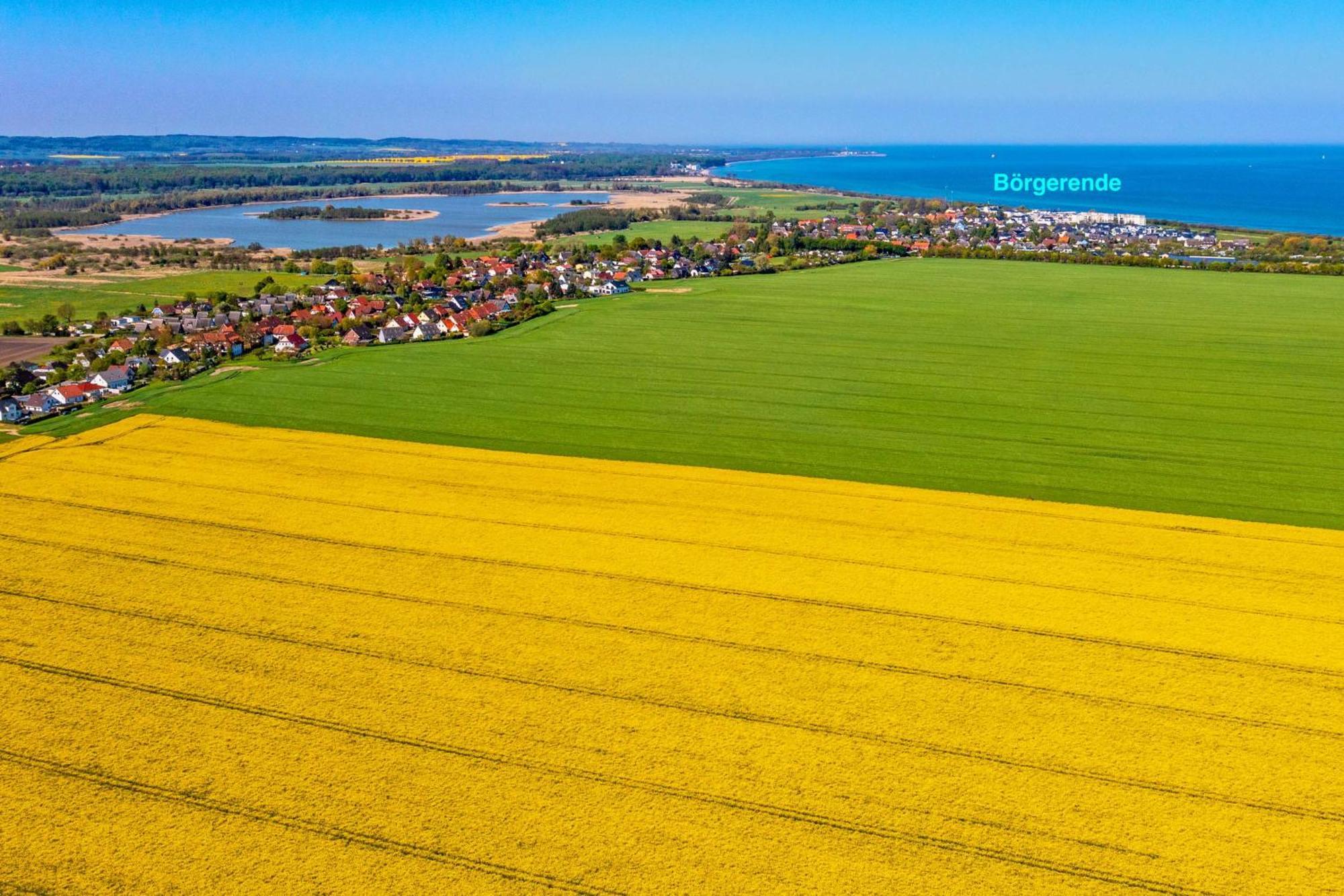 Villa Deichgraf 12 "Meerblick" Börgerende-Rethwisch Dış mekan fotoğraf